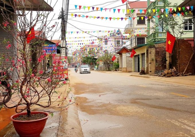 Bán đất mặt đường nhựa Thôn Trung Hòa, cạnh UBND xã Mai Trung 115m2 giá 1 tỷ