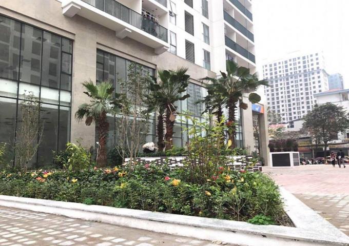 Hình ảnh thực tế siêu đẹp căn hộ chung cư cao cấp Dự án thống nhất Complex tại trung tâm quận Thanh Xuân, giá chỉ từ 2.7 tỷ 