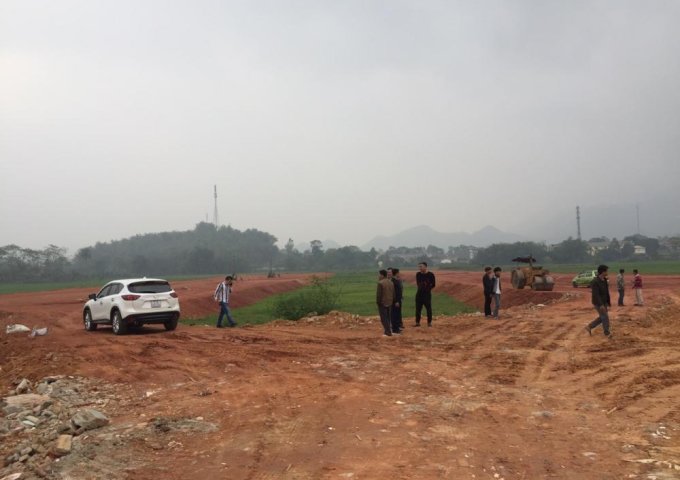 Bán đất nền dự án tại trung tâm thị  trấn  Yên Thế diện tích 100m2.LH:0396565755