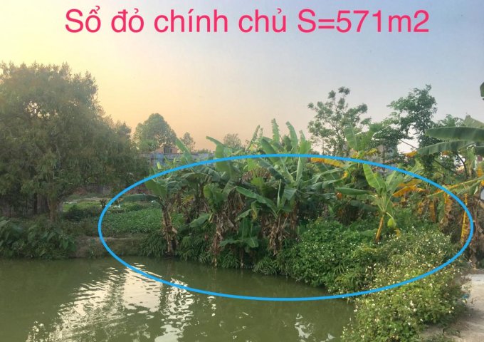 Bán đất tại Đường Nguyễn Cư Đạo, Thuận Thành,  Bắc Ninh diện tích 571m2  giá 3.5 Triệu/m²