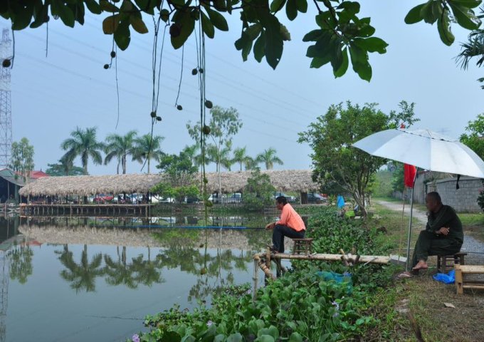 Bán đất ngay khu BT The Pegasus Residence, Nguyễn Văn Tỏ, P. Long Bình Tân, Biên Hòa, Đồng Nai