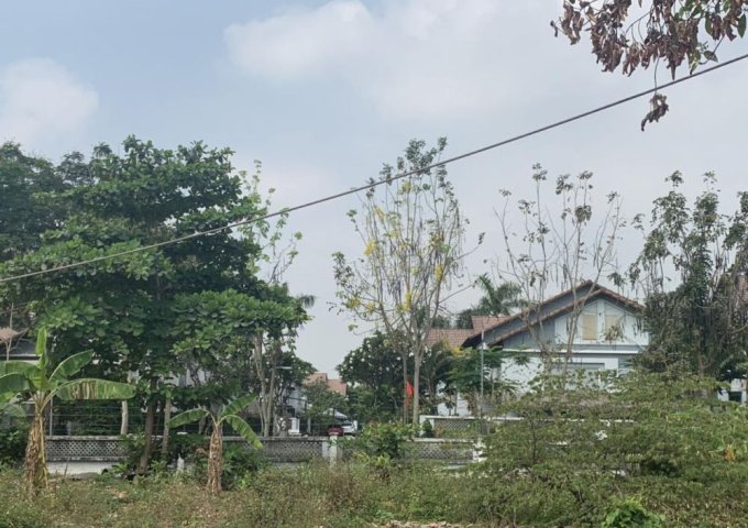 Bán đất ngay khu BT The Pegasus Residence, Nguyễn Văn Tỏ, P. Long Bình Tân, Biên Hòa, Đồng Nai