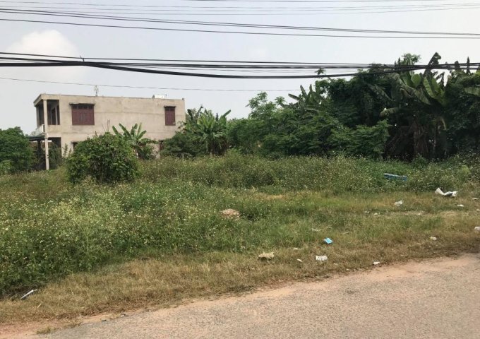 Bán đất tại Đường Lê Anh Xuân, Đồng Hới,  Quảng Bình