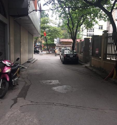 Thuê nhà nguyên căn ngõ - phố Lương Định Của, Đông Tác, Phương Mai