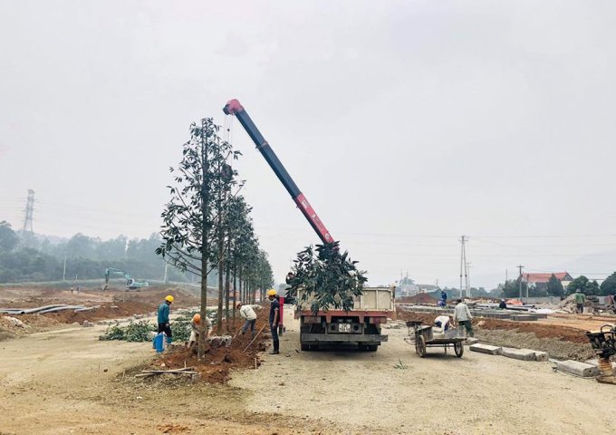 MỞ BÁN KHU ĐÔ THỊ THE SPRING TOWN XUÂN MAI