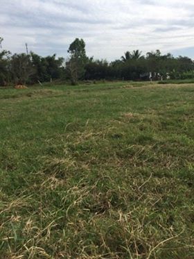 Đất Chính Chủ Ngay Ngã Ba cây Trôm. Làm Xưởng, trồng cây, SHR