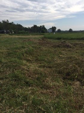 Đất Chính Chủ Ngay Ngã Ba cây Trôm. Làm Xưởng, trồng cây, SHR