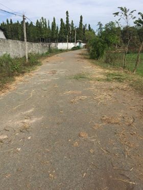 Đất Chính Chủ Ngay Ngã Ba cây Trôm. Làm Xưởng, trồng cây, SHR