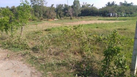 Đất Chính Chủ Ngay Ngã Ba cây Trôm. Làm Xưởng, trồng cây, SHR