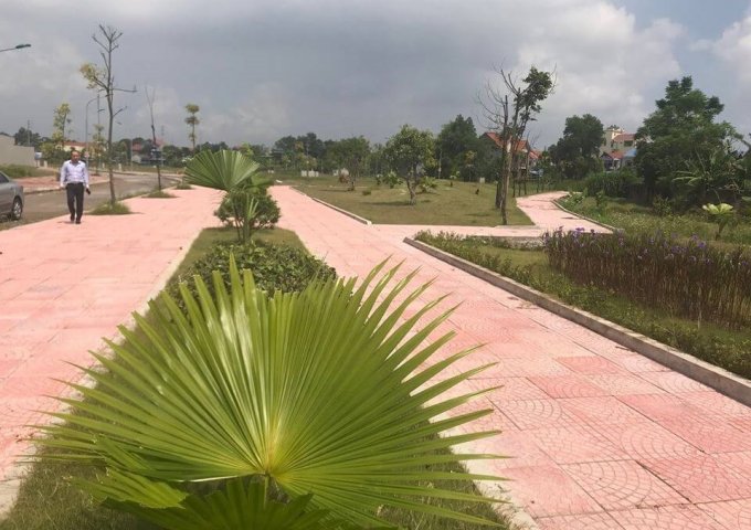 Bán đất nền Tân Tiến, gần Sam Sung Thái Nguyên, có sổ đỏ, giá 6-8tr/m2, LH 0825137085