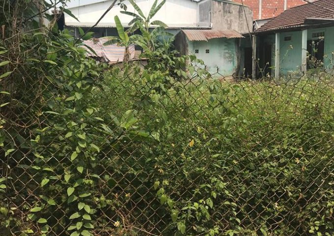 Bán đất tại đường Tôn Thất Thuyết, Huế, Thừa Thiên Huế, diện tích 200m2 giá 6.4 triệu/m2