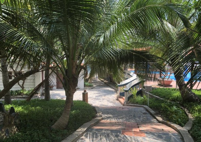 Bán Resort SÀI GÒN-SUỐI NHAM huyện Hàm Thuận Nam tỉnh Bình Thuận