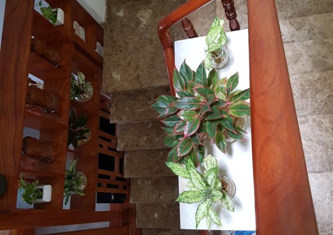 BÁN BIỆT THỰ ĐƯỜNG 1A, KHU DÂN CƯ VĨNH LỘC, BÌNH HƯNG HÒA B, BÌNH TÂN