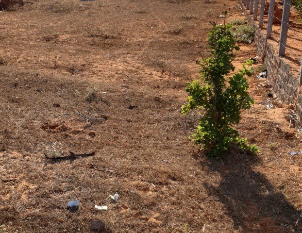 Bán đất tại Đường Nguyễn Hữu Thọ, Phan Thiết,  Bình Thuận diện tích 1500m2  giá 5.2 Triệu/m²