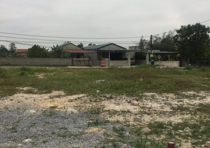 Bán đất tại Đường Hồ Biểu Chánh, Lộc Ninh, Đồng Hới,  Quảng Bình diện tích 116m2  giá 452 Triệu