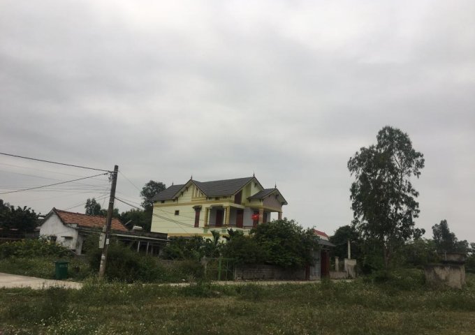 Bán đất tại Đường Hồ Biểu Chánh, Lộc Ninh, Đồng Hới,  Quảng Bình diện tích 116m2  giá 452 Triệu