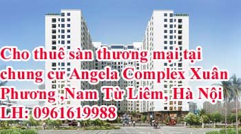 Cho thuê sàn thương mại tại chung cư Angela Complex Xuân Phương, quận Nam Từ Liêm, Hà Nội. Sàn tầng 20.
