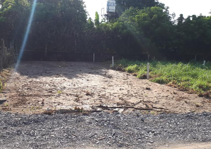 Bán Đất Mặt Tiền Đường Số 54, Tân Thông Hội, Củ Chi. Liên Hệ 0984248781