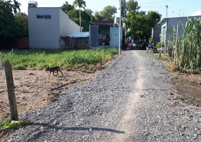 Bán Đất Mặt Tiền Đường Số 54, Tân Thông Hội, Củ Chi. Liên Hệ 0984248781