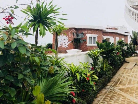 Cơ hội đầu tư không thể bỏ lỡ,Shophouse mặt biển giá tốt nhất thị trường bất động sản