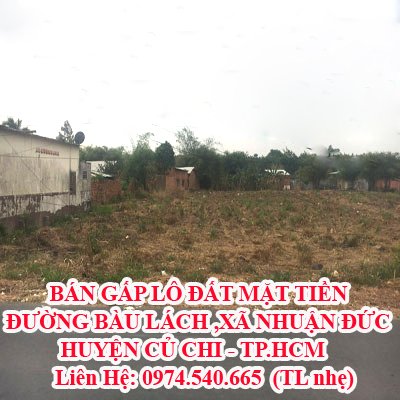 BÁN GẤP LÔ ĐẤT MẶT TIỀN ĐƯỜNG BÀU LÁCH ,XÃ NHUẬN ĐỨC,HUYỆN CỦ CHI