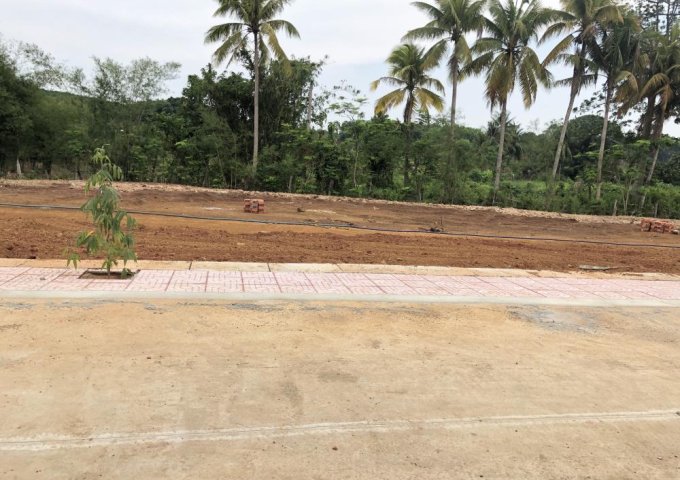 Bán đất nền Dự án Thanh Phúc Residence TX Bình Long - Bình Phước