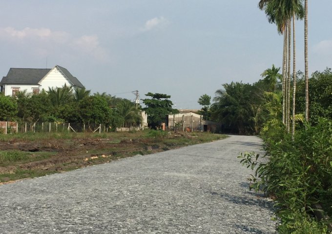 Bán đất tại Đường 782, Gò Dầu,  Tây Ninh diện tích 100m2  giá 600 Triệu