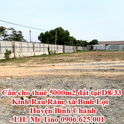 Cần cho thuê 5000m2 đất tại D8/33 Kinh Rau Răm, xã Bình Lợi, huyện Bình Chánh