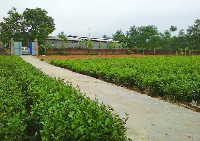 Bán 2040m2 đất thổ cư và đất nông nghiệp 2 sổ đỏ chính chủ xã Phúc Thuận, Phổ Yên, Thái Nguyên