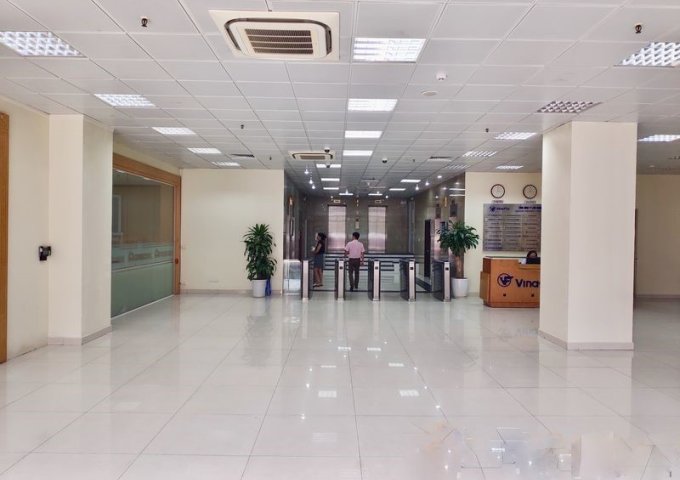 Cho thuê văn phòng Vinafor Building 127 Lò Đúc 1200m2 cắt chia 80-200- 600m2...