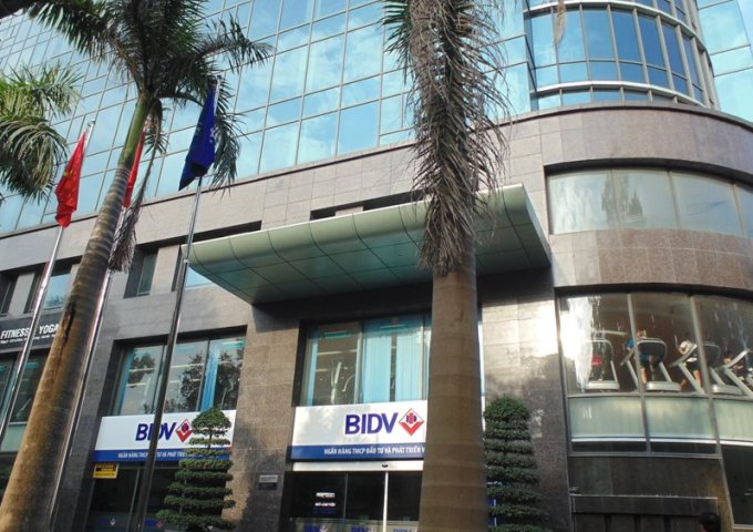 Cho thuê văn phòng Vinafor Building 127 Lò Đúc 1200m2 cắt chia 80-200- 600m2...