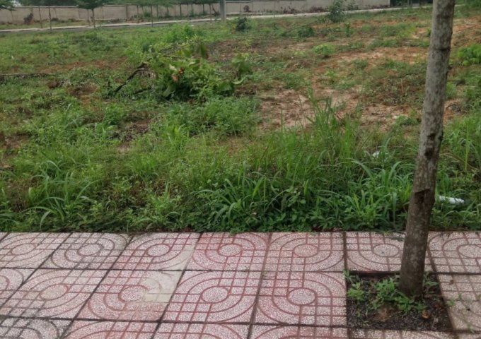 Cần bán lô đất đối diện bến xe Thành Công,Tp Đồng Xoài