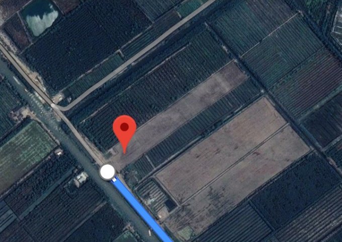 Bán đất mặt tiền tỉnh lộ 818 Xã Bình Hòa Nam, Đức Huệ,  Long An diện tích 3,500m2  giá 3.7 Tỷ.