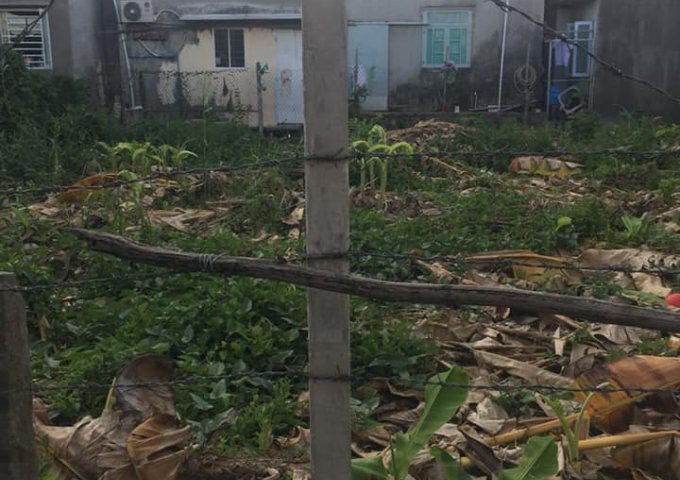 BÁN NỀN MẶT TIỀN HẺM 8 KỲ, MỸ PHƯỚC, LONG XUYÊN, AN GIANG