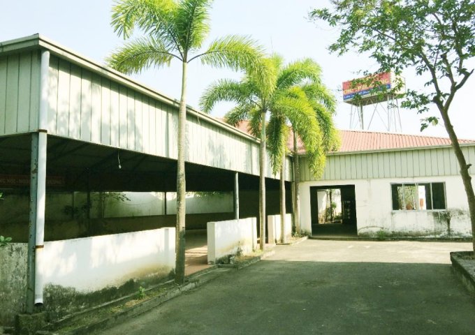Bán hoặc cho thuê nhà xưởng 8950 m2 MT Quốc Lộ 50, gần KCN Tân Kim, Long An