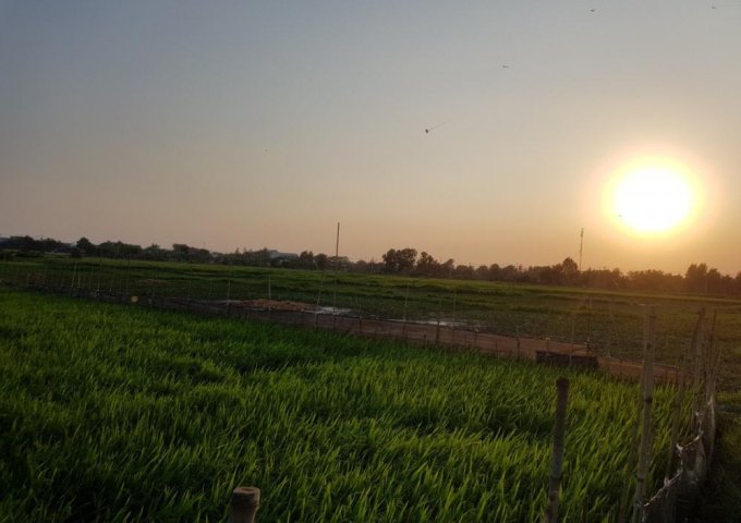 Bán gấp lô đất đẹp DT lớn tại xã Nguyễn Phích, huyện U Minh, giá tốt