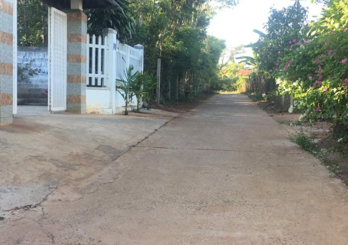 Bán Đất đường 11b thôn 4 xã hoà thuận, Buôn Ma Thuột Giá 550 triệu