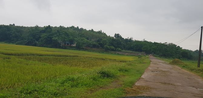  Bán đất rừng tại Quốc Lộ 32C, Xã Tiên Kiên, Huyện Lâm Thao, Phú Thọ