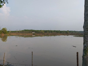 Chính chủ cần bán lô đất 4000m2 ven hồ Cần Nôm tại Xã Thanh An, Huyện Dầu Tiếng.