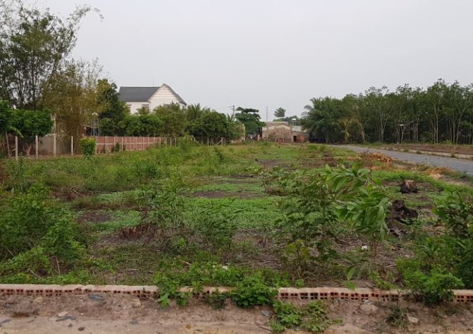 Bán đất tại Đường ĐT 782, Gò Dầu,  Tây Ninh diện tích 112m2  giá 698 Triệu