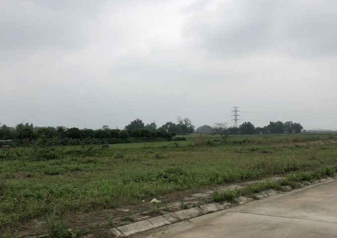 Bán đất đấu giá xã Nguyễn Trãi huyện Thường Tín