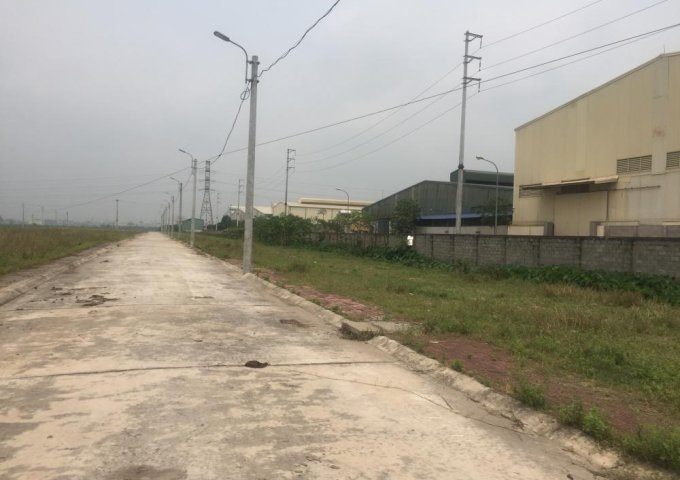 Chính chủ cần bán lô đất KCN Quất Động, Nguyễn Trãi, Thường Tín, Hà Nội