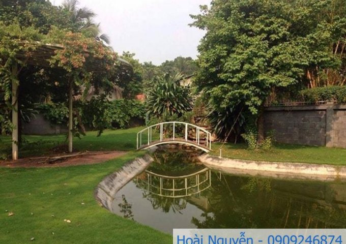Cho thuê villa Thảo Điền sân vườn rộng 1000m2 phù hợp làm nhà hàng, trường học