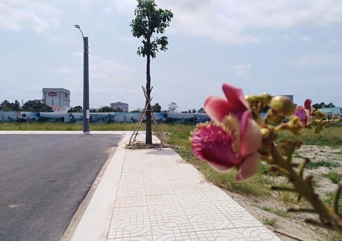 Bán đất ngay TT Bến Lức – KDC Thuận Đạo giá rẻ chỉ 450tr/nền/100m2