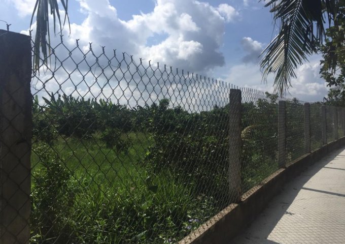 Bán gấp 3 công đất vườn xã Song Bình, Chợ Gạo