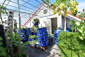 Bán nhà số 31, đường số 30 , Khu dân cư Ấp 5, Phong phú, Bình chánh