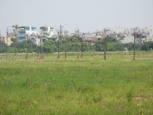 Bán lô đất đẹp thổ cư 100m2 hẻm ô tô đường Phạm Hồng Thái, hướng Đông Nam.