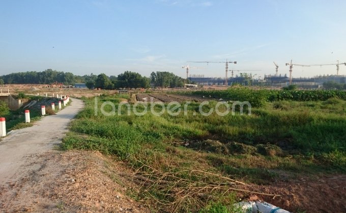 Gia Đình cần bán gấp nền đất giáp bệnh viện 1500 giường phường Định Hòa, TP Thủ Dầu Một, Bình Dương.
