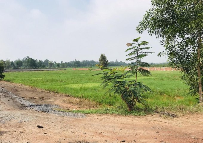 Bán đất nông nghiệp xã Trung An, Gần bờ sông SG, DT: 7300m2, Giá 27.7  Lh: 0856518555 Tiên 