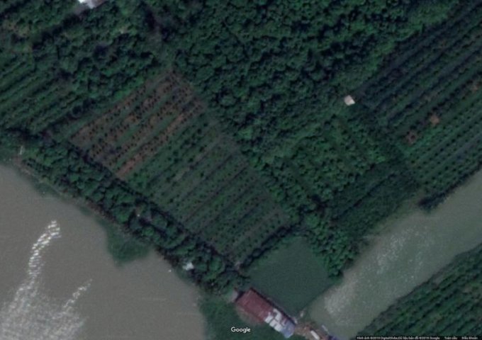 Bán đất nền dự án tại Xã Định An, Lấp Vò, Đồng Tháp diện tích 1,800m2 giá 1 Triệu